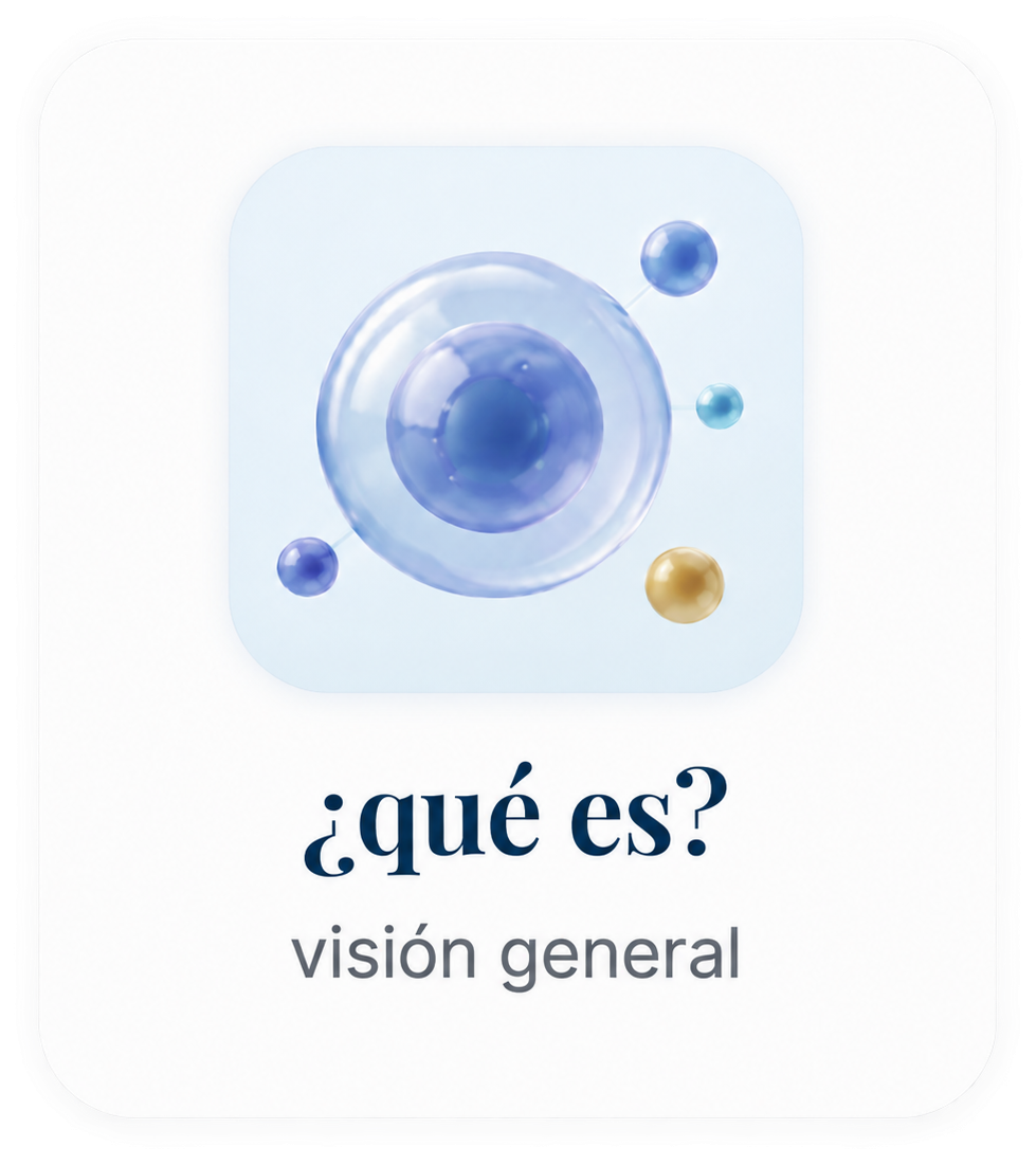 ¿Qué es? Visión general