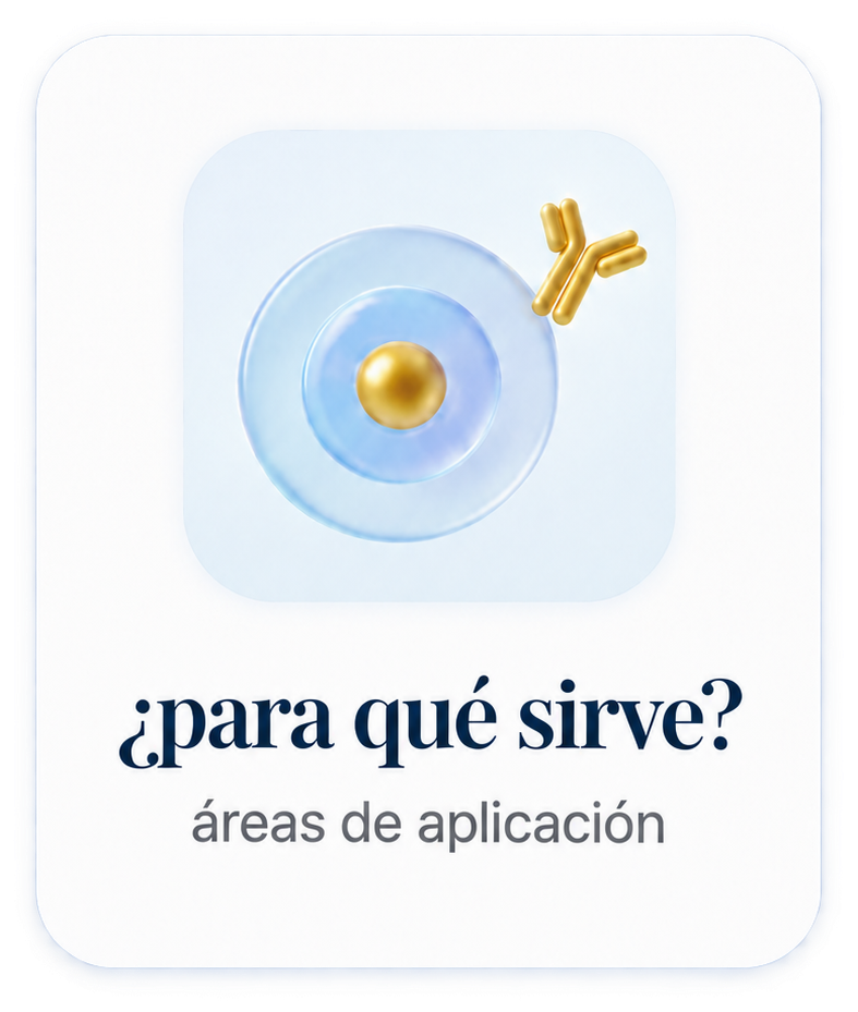 ¿Para qué sirve? Áreas de aplicación